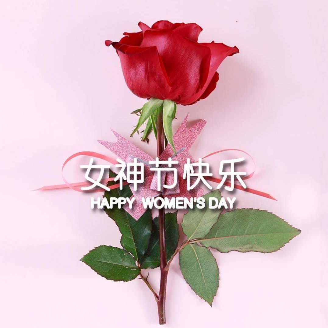 女神節(jié)特輯丨以醫(yī)療力量，筑女性健康